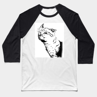 Swoosh Cat Baseball T-Shirt